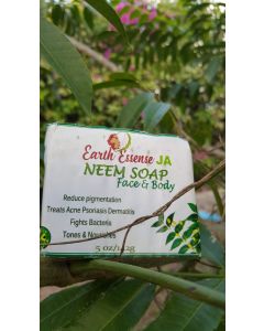 Earth Essence Neem Soap Bar - Handmade Soap (Herbal) with 100% Pure Essential Oils 
